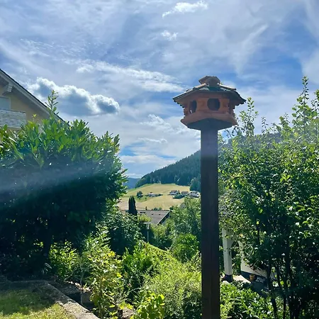Wanderlutz Baiersbronn