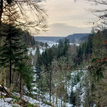 Wanderlutz Apartment Baiersbronn