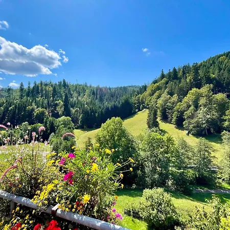 Wanderlutz Apartman Baiersbronn