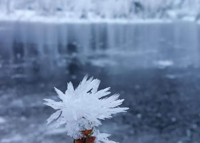 Wanderlutz Apartmán